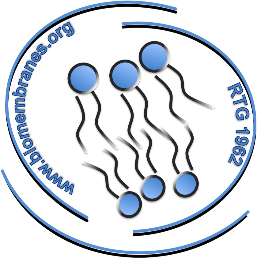 Towards entry "Busy 2018: Full dozen of submitted doctoral theses until April 2018"