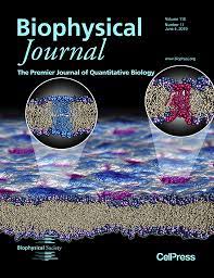 Towards entry "Cover Story: Membranes Close to Phase Transition"